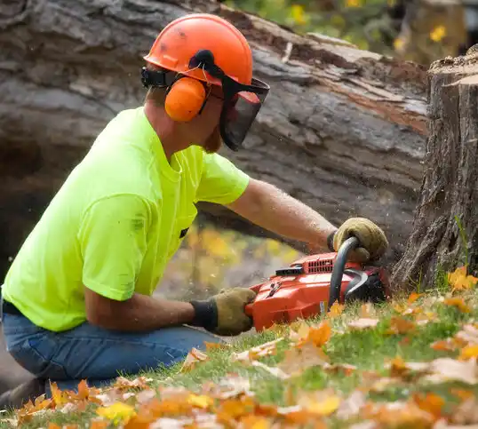 tree services Washington Grove